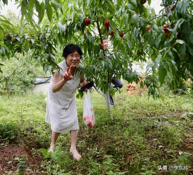 同学聚会说说幽默短句，同学聚会搞笑短句（快乐时光总是那么美好）