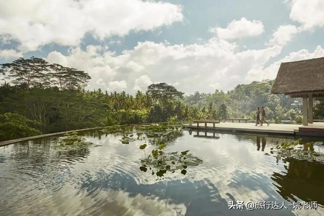 香兰叶的种植方法，香兰怎么种植（你准备迎接美好盛夏了吗）