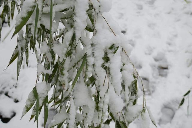 心灵的归宿，家是我们的避风港是心灵的归宿（心灵的归宿唯美句子）
