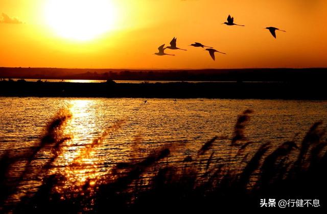 海内存知己天涯若比邻的作者是谁，海内存知己天涯若比邻作者出自哪（一代神童王勃最著名的八首诗）