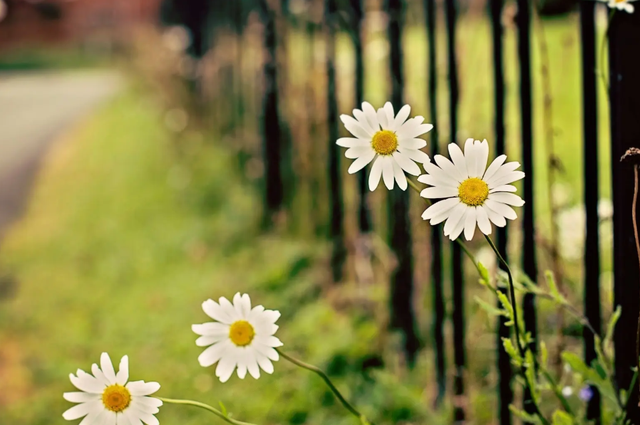 分手后怎么挽留，分手了该如何挽留（分手后挽回的四个方法）