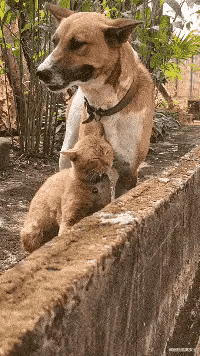 高情商回复别人的羡慕，怎么幽默回复别人羡慕（“男生最顶不住女生叫他什么）