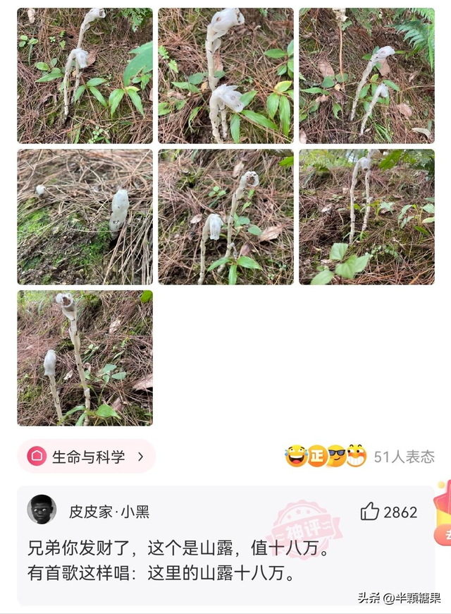 第一次坐飞机的来看看，临时身份证如何登机（你第一次坐飞机是什么体验）