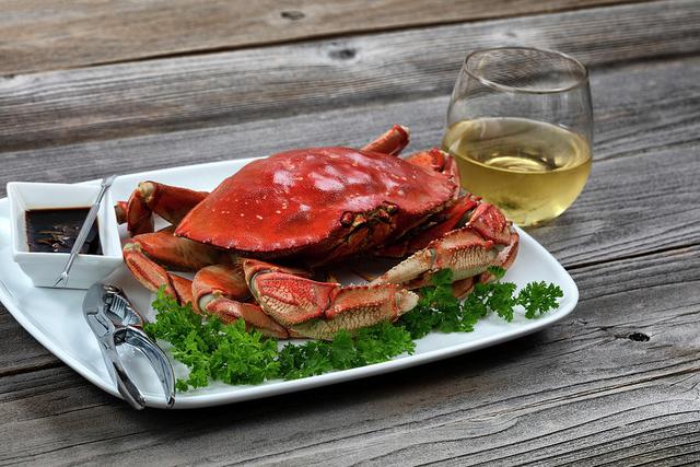 十种极寒食物，龙虾、鱼也是水生