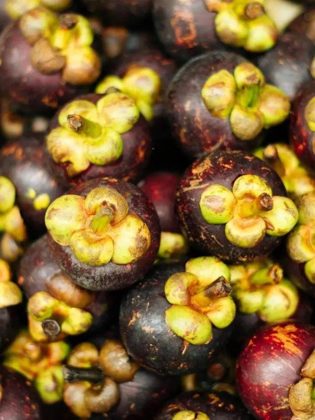 雪莲果图片，这13种水果因为名字被误解（雪莲果图片叶子图片）