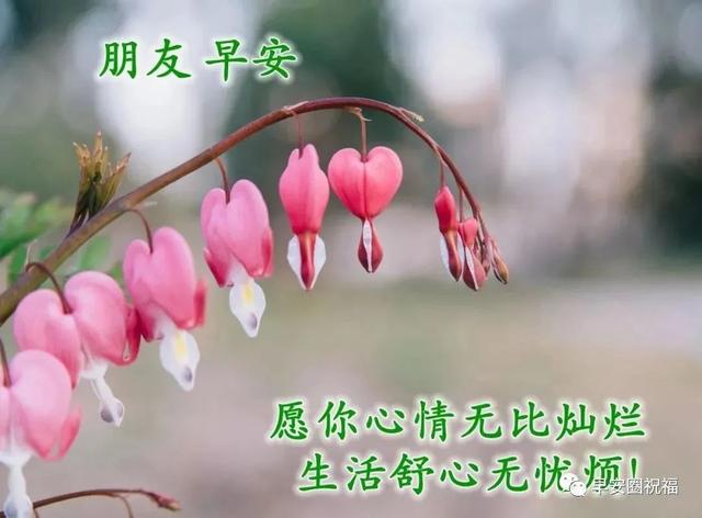 精选的祈福的话语大全，有关祈福的句子（愿苍天保佑人间无险）