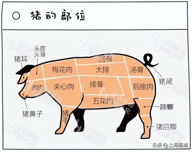 葡萄的热量是多少大卡，一个葡萄的热量是多少大卡（有哪些食物看起来热量很高）