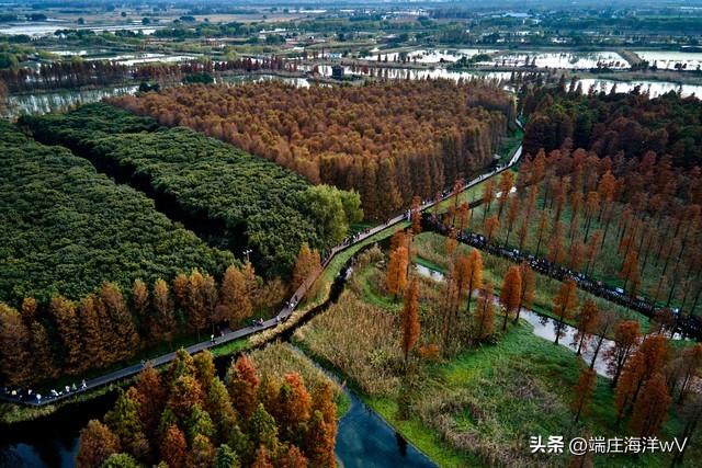 上海最好玩的地方，上海必须去玩的地方有哪些（去上海十个必打卡地）