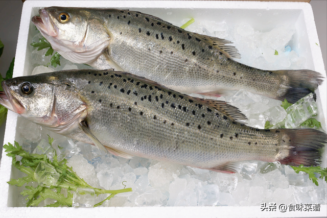 黄花鱼是海鱼吗，黄鱼是海鱼吗（推荐买这4种海鱼）