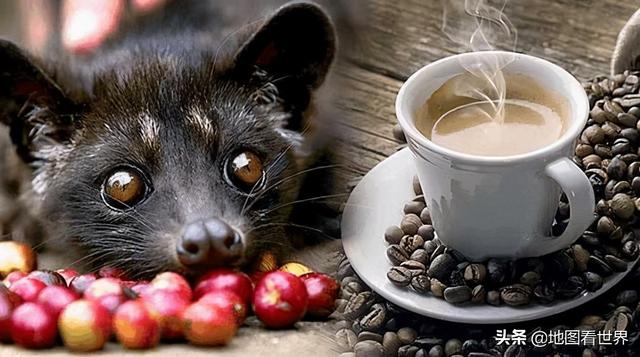 印度尼西亚是发达国家吗，泰国,日本,巴基斯坦,印度尼西亚这几个国家都是（<印太经济框架>）