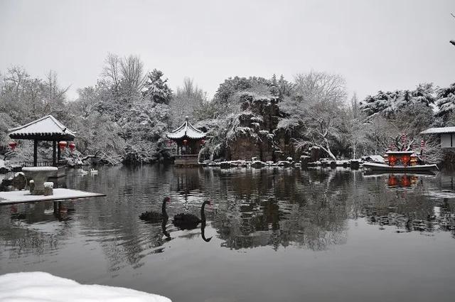 水绘园景点简介，比风景更醉人的是爱情