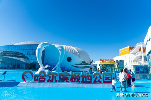 哈尔滨旅游攻略自由行攻略最新，哈尔滨一日游攻略
