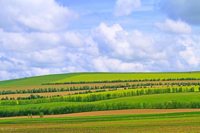 工业建筑包括哪些，建筑分为工业建筑还有什么（2022年8月第三周全国最新工业生产建筑、住宅项目清单）