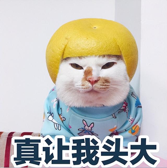 三跨考研是什么意思，为什么说三跨考研（这些注意事项别忽略）