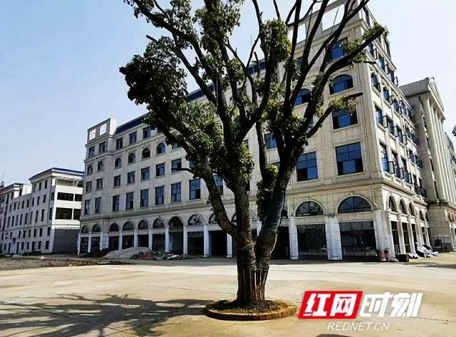 长沙广益中学在哪里，长沙广益中学有几个校区（不转公办的广益中学、湘一立信等将改名）