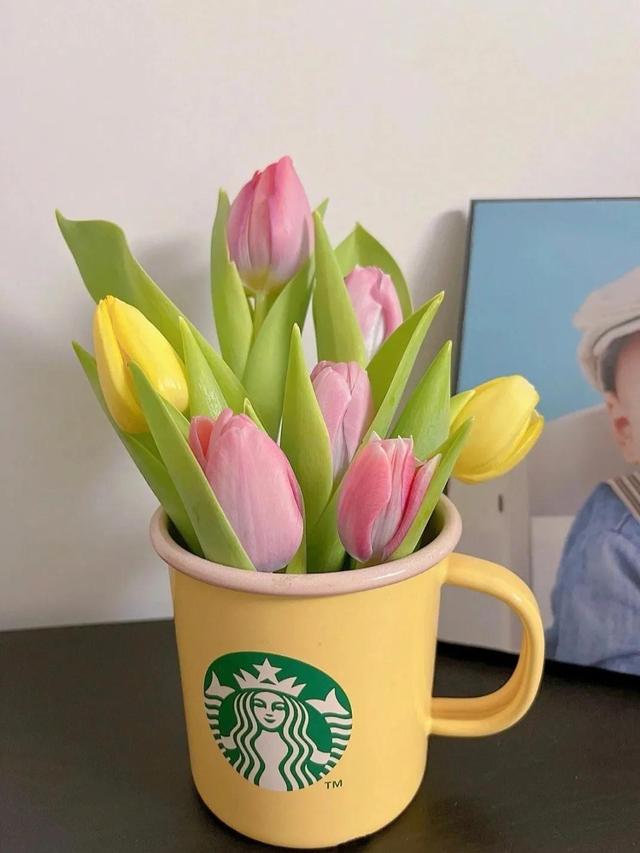 花朵系列背景图，花朵背景图片大全高清唯美（温馨又治愈的花朵背景图）