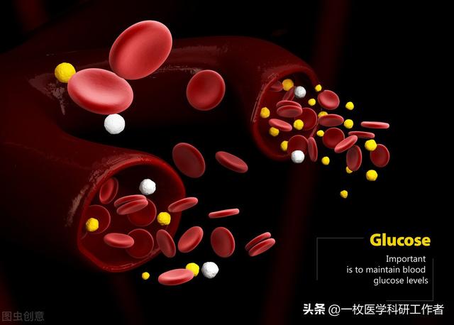 冬枣的功能与作用，冬枣的功效与作用（小小的身体蕴含丰富的营养和能量）