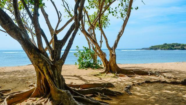 金巴兰海滩的地址在哪里，巴拉湾海滩在哪里（巴厘岛绝美海滩太多了）
