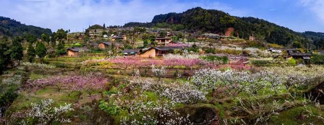 四川盆地的美誉是什么，四川盆地之称（你好，我是丹棱！）