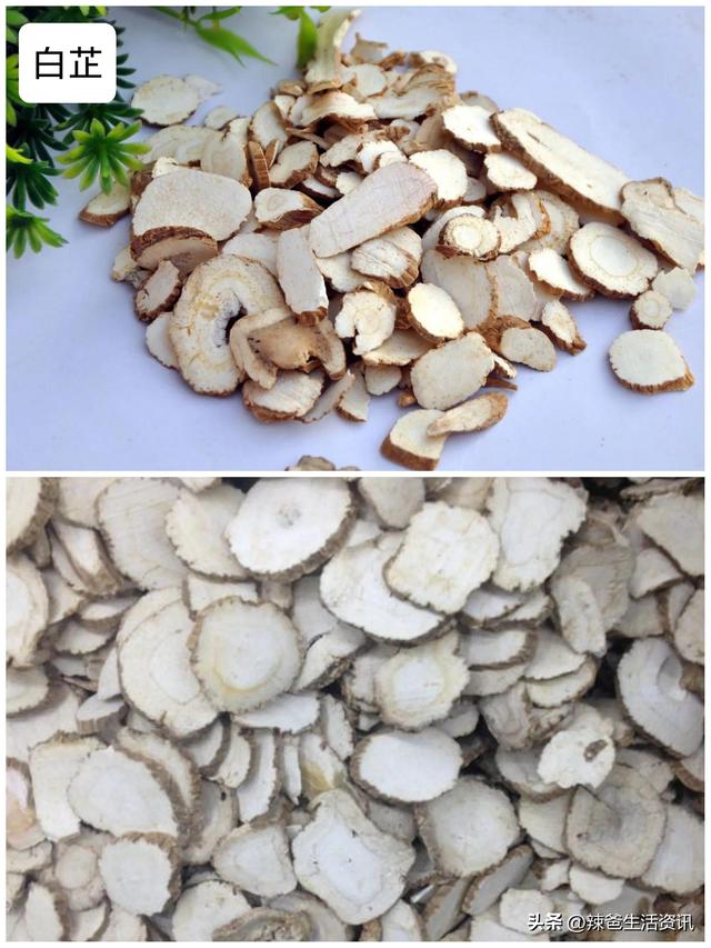 香料大全所有的香料名字，香料有多少种（厨房必备的8种香料）