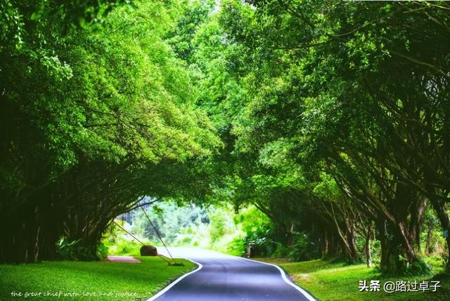 粤南地区包括哪些城市，珠三角是指哪几个城市（藏着百年法租界和石头海）