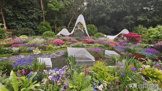 深圳市仙湖植物园，深圳仙湖植物园适合夏天逛吗（深圳仙湖植物园现场实拍图来了）