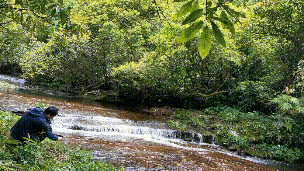 怎样游览邛崃天台山，去邛崃天台山（2022夏日自驾旅行体验）