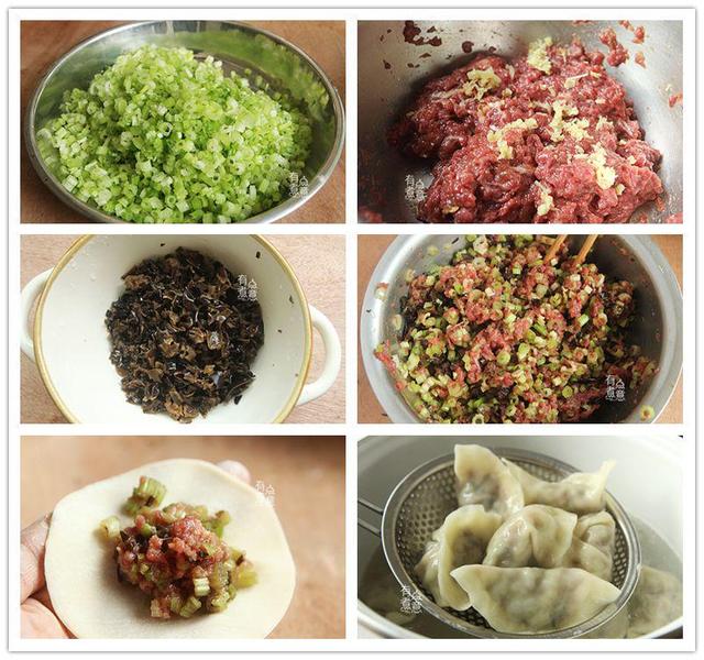 牛肉包饺子和什么蔬菜搭配最好，牛肉饺子馅配什么蔬菜（分享5种绝佳搭配）