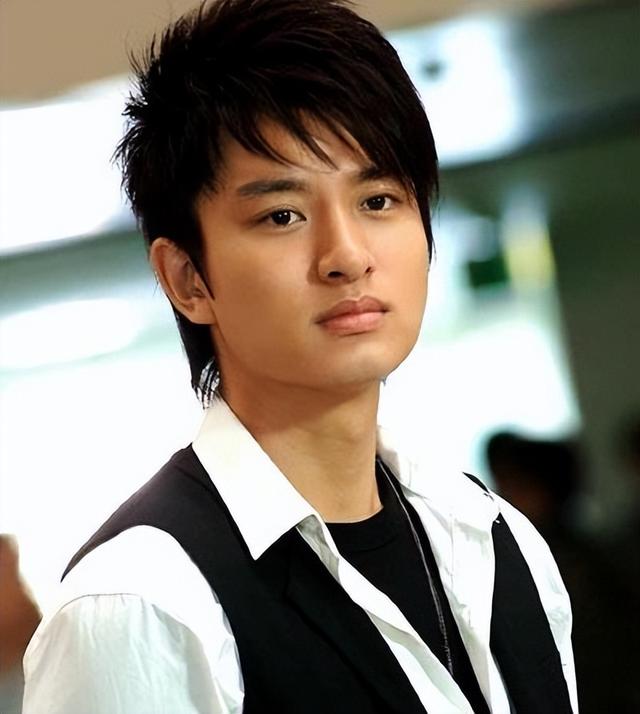 贾乃亮拍过的电视剧,贾乃亮演过的电视剧(把前儿媳李小璐宠成宝)