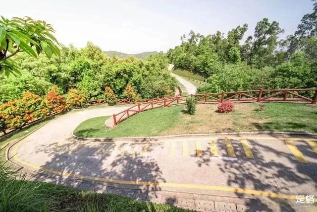 深圳有哪些好玩的地方，深圳有哪些好玩的地方及美食街（深圳这22条绿道，真的美）