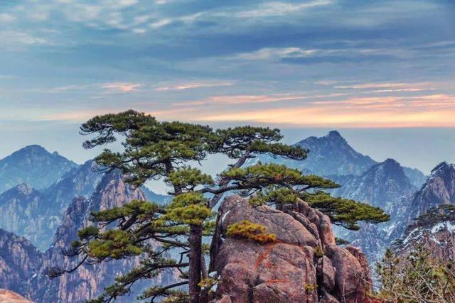 未来可期的诗句，寓意未来可期的诗句（诗词鉴赏-当你遇到困境时）