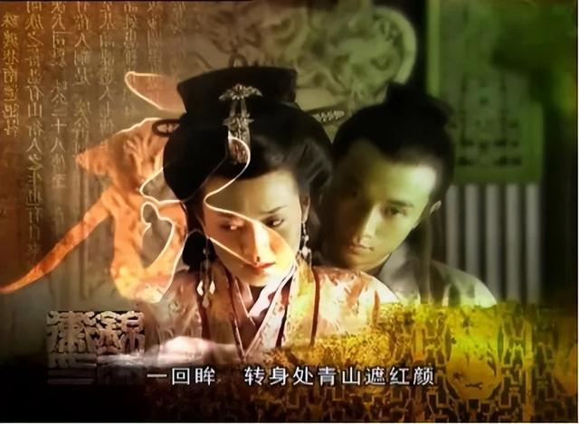 文章主演的电视剧，文章主演的电视剧大全集（人生差距一个天一个地）