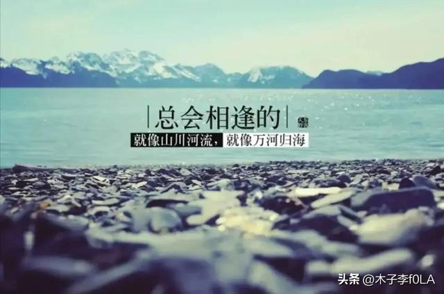 白玫瑰的花语是什么，白玫瑰花语是什么（我足以与你相配）