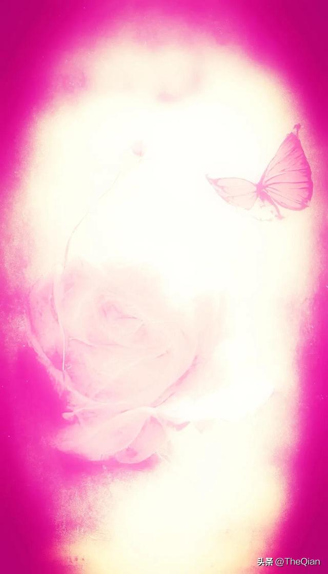 东南西北都顺路，爱你的人东南西北都顺路（喜欢你的人，东西南北都顺路）