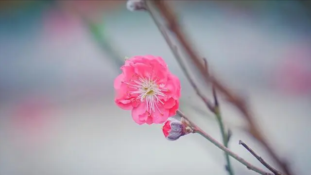 男人失去了情人会难受吗，男人失去情人也会失落吧（失去一个深爱过的人）