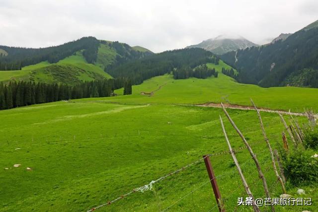 新疆旅游，遇到一位妈妈带着女儿旅行，她说有点后悔带女儿出来了