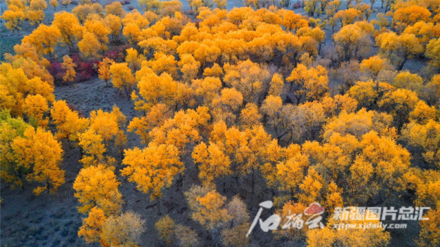 我国最长的河流是什么，世界最长河流排名前十（塔里木河到底有多重要）