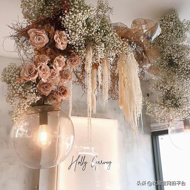 Gypsophila 满天星网名，Gypsophila 满天星（千万星、百万星、伊洛斯有何区别）