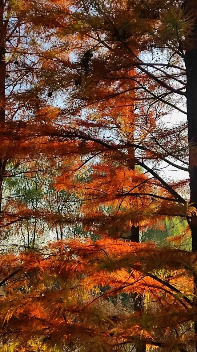 灵魂相似的人一旦相逢，灵魂相似的人一旦相逢是知心朋友（总有一天会在路上相逢）