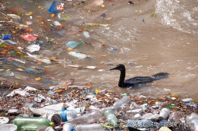 白色污染的危害有哪些，白色污染的危害（“白色污染”是什么）