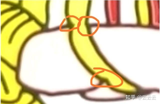 贵的部首是什么偏旁，贵的偏旁部首是什么意思（真假茅台酒的三十种鉴别方法）