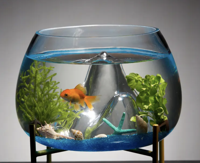 送梨的寓意是什么意思，送梨寓意是不是不好（老祖宗留下的“东西七不送）