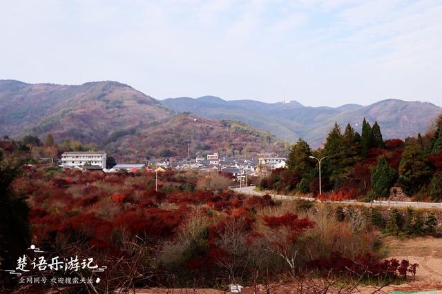奉化溪口旅游，奉化溪口旅游攻略（宁波这个古村毗近三隐潭）