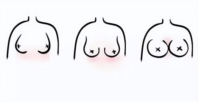 罩杯大小排列顺序，罩杯大小的顺序依次是多少（原来女生的胸部形状有那么多种）