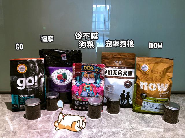 狗最多能活多少年，狗能活多少年的寿命（这几种“长命狗”）