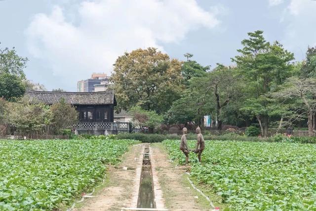 深圳有啥好玩的地方 排行榜，深圳有什么好玩的地方免费的（深圳必去的100个地方）