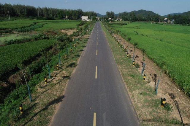 乡村道路限速多少，城市道路限速多少（乡道有两种，各自限速多少公里）