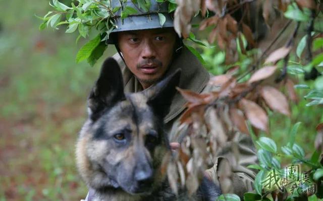 我的团长我的团结局，我的团长我的团原著人物结局是什么（最好的抗战剧-我的团长我的团结局是什么）