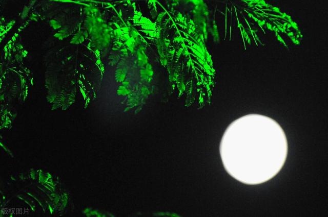 元旦和新年是一个意思吗 各有什么传统习俗，元旦和新年是一个意思吗（清朝冷知识——细说清代的岁时节日风俗）