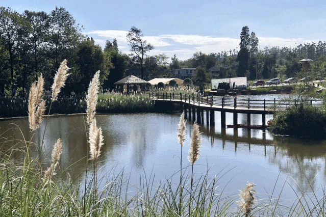 昆明周边哪里好玩，昆明周边好玩的地方自驾游（昆明周边的5个小众“世外桃源”）